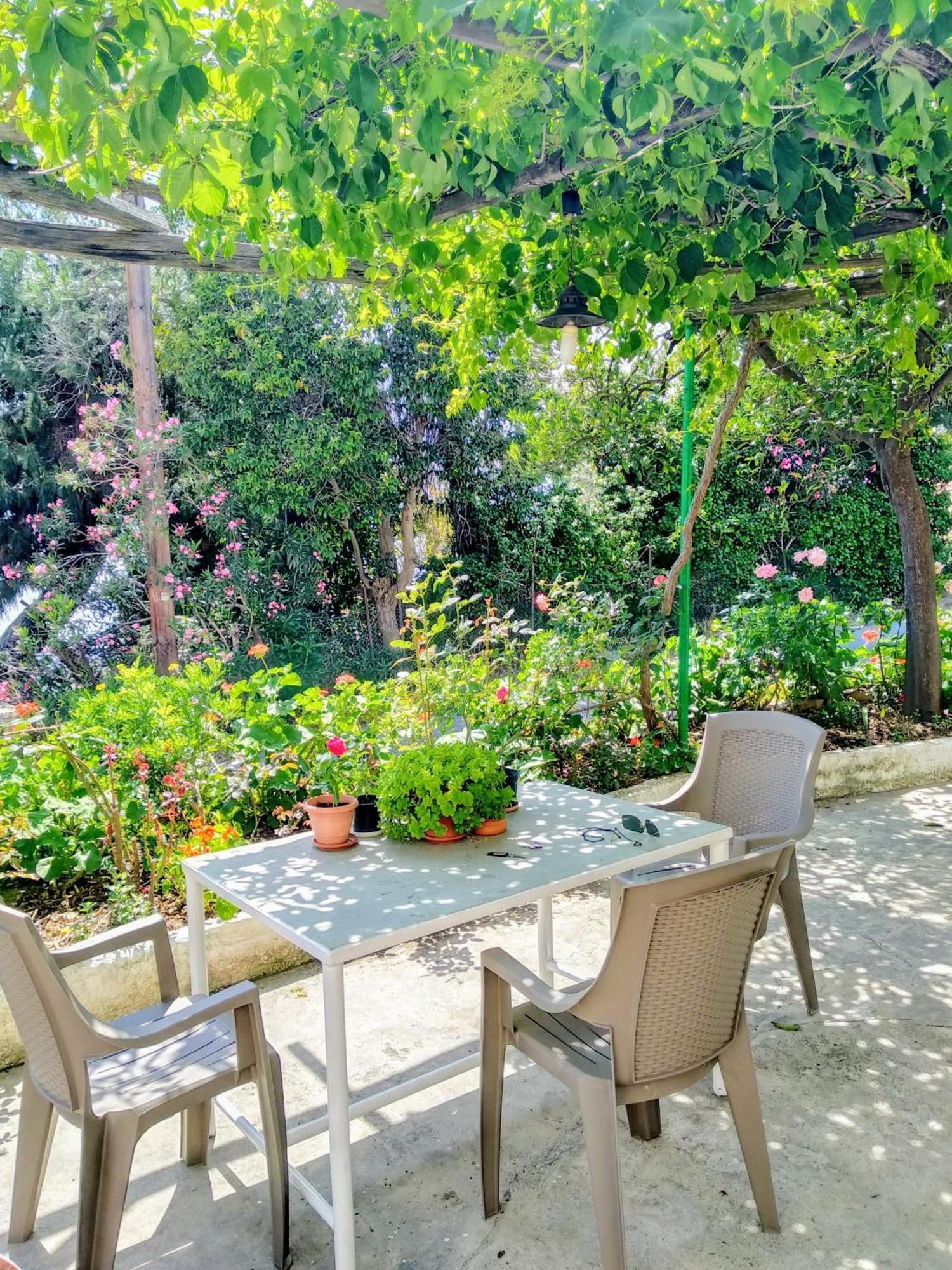 Pelion Seaside Luxury House Apartman Áfiszosz Kültér fotó